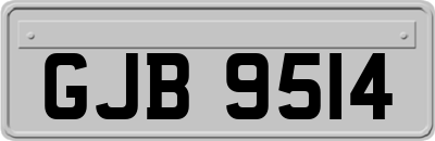 GJB9514