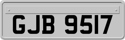 GJB9517