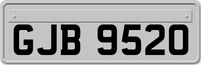 GJB9520