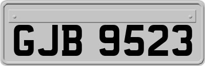 GJB9523