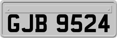 GJB9524