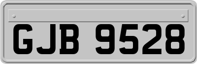 GJB9528