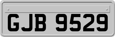 GJB9529