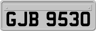 GJB9530