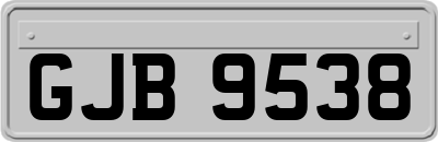 GJB9538