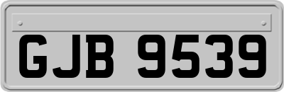 GJB9539
