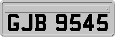 GJB9545