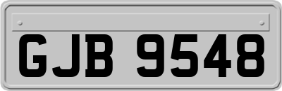 GJB9548