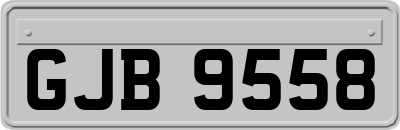 GJB9558
