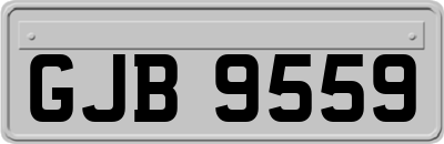 GJB9559