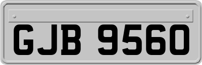 GJB9560