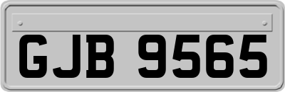 GJB9565