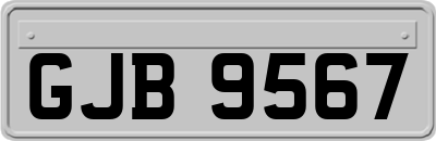 GJB9567