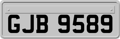 GJB9589