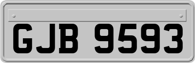GJB9593