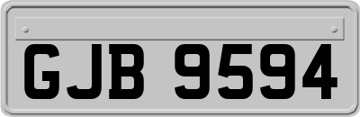 GJB9594