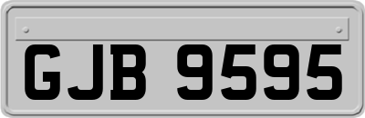 GJB9595