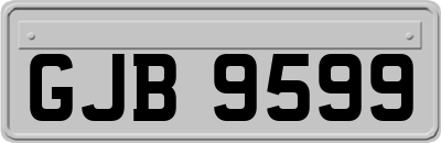 GJB9599