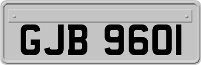 GJB9601