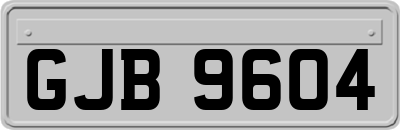 GJB9604