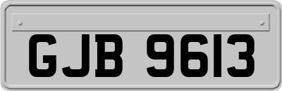 GJB9613