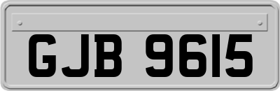 GJB9615