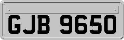 GJB9650