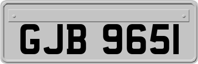 GJB9651