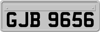 GJB9656