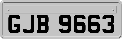 GJB9663
