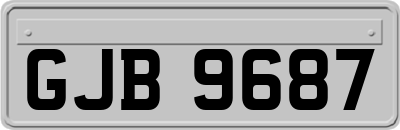 GJB9687