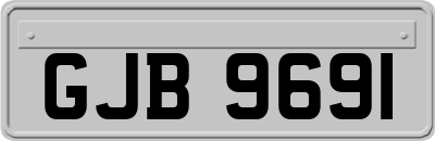 GJB9691