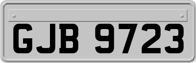 GJB9723