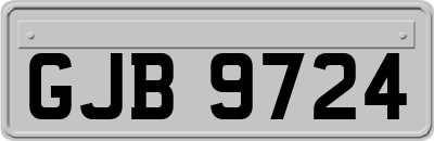 GJB9724
