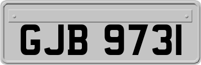 GJB9731
