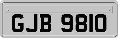 GJB9810