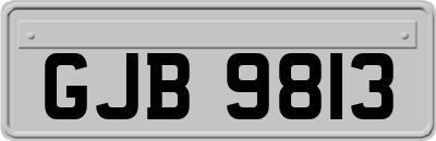 GJB9813