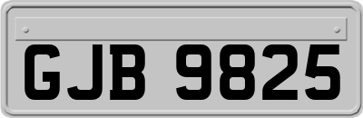 GJB9825