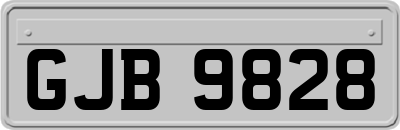 GJB9828
