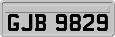 GJB9829