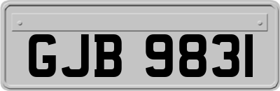 GJB9831