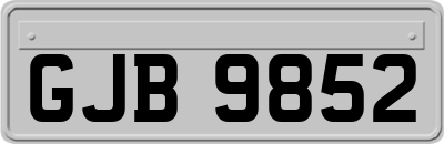GJB9852