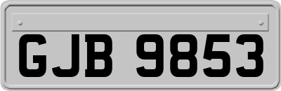 GJB9853