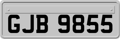 GJB9855
