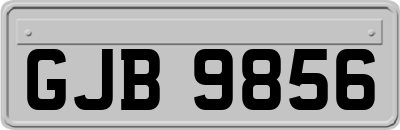 GJB9856