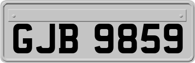 GJB9859