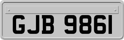 GJB9861