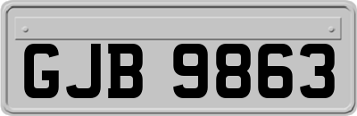 GJB9863