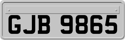 GJB9865