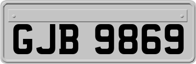 GJB9869